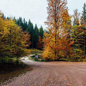 Piękna jesień
